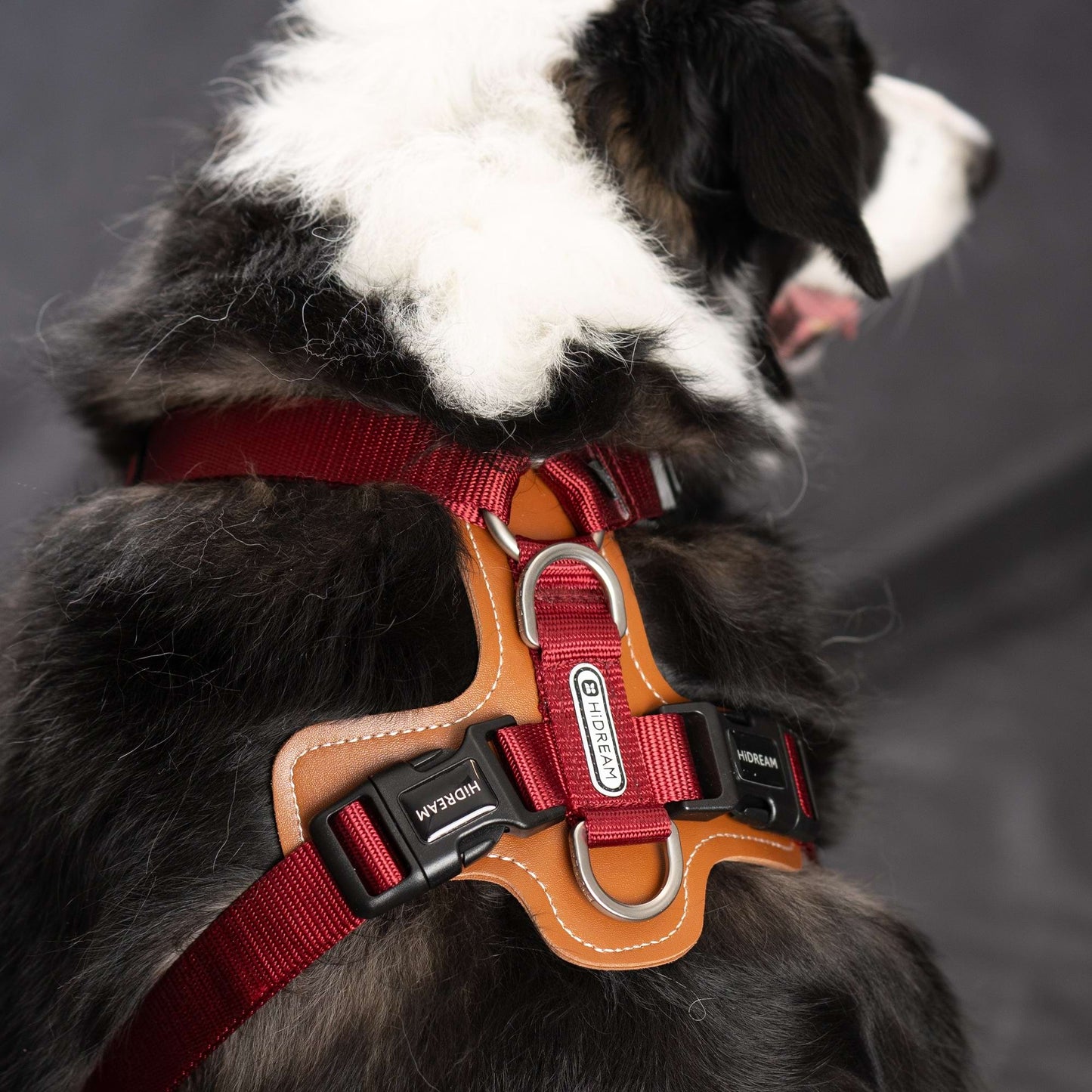 Comfort Red - dog Harness - The Dog Dreams Harness