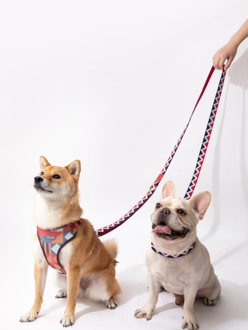 Walking Red Dog Set - Collar & Leash & Bag - The Dog Dreams Harness leash bag