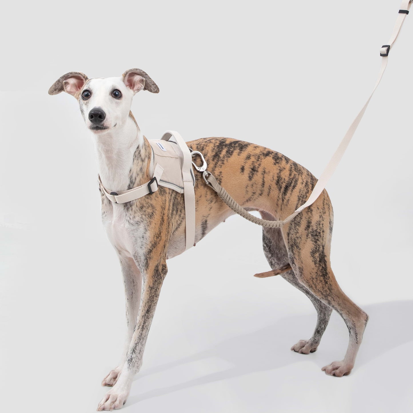 Evolution Beige Dog Set - Harness & Leash