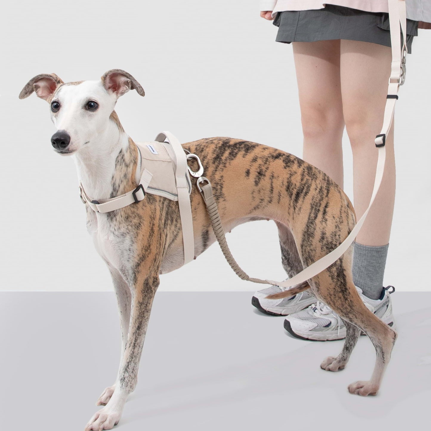 Evolution Beige Dog Set - Harness & Leash