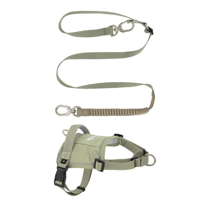 Evolution Green Dog Set - Harness & Leash