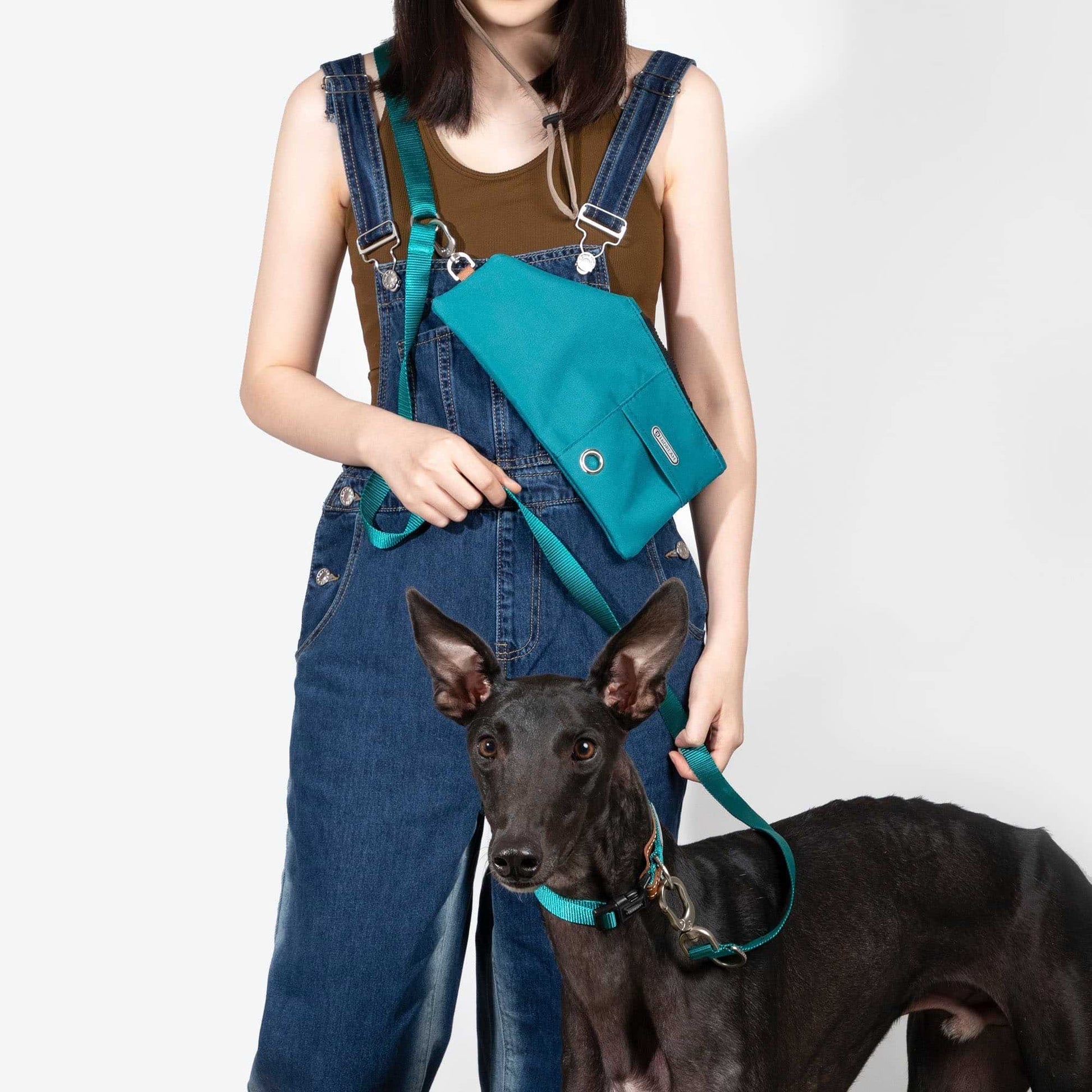 Comfort Green - cross body Bag - The Dog Dreams