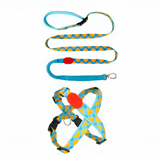 Magic Yellow Dog Set - Harness & reflective Leash
