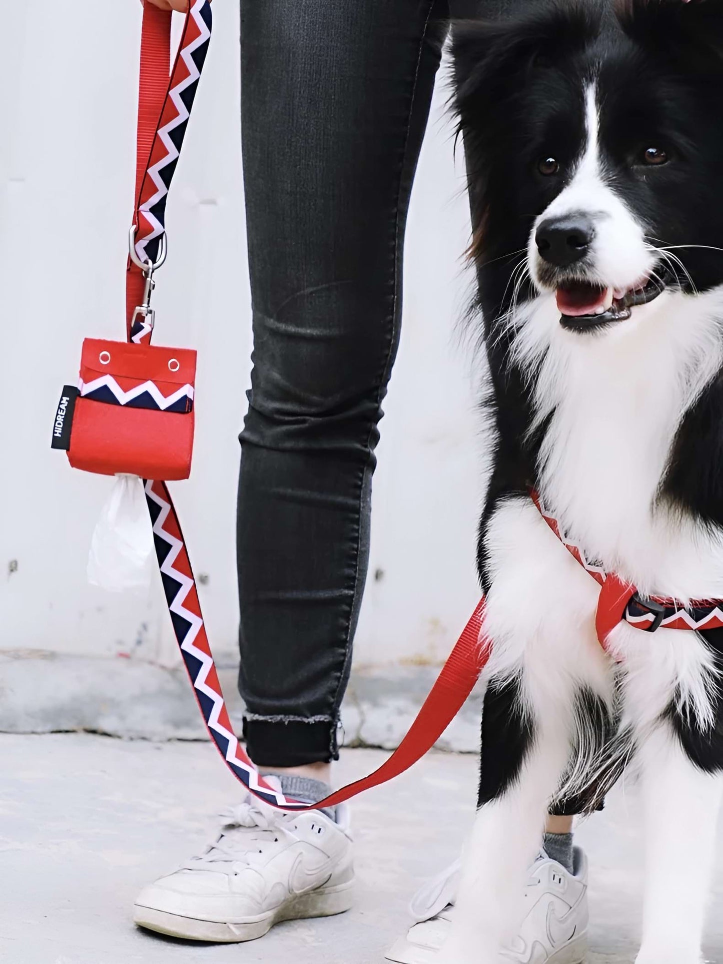 Walking Red - Portable Bag - The Dog Dreams Bag