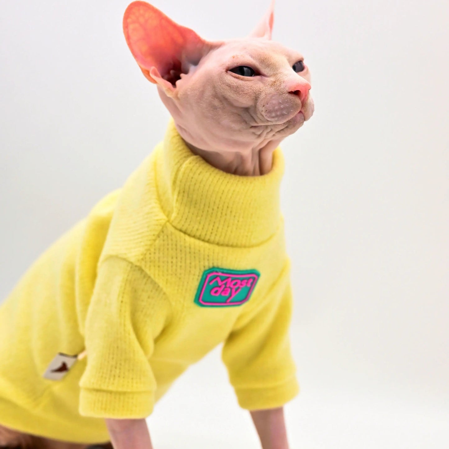 Devon Cat Sweater