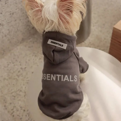 Casual Essentials Hoodie