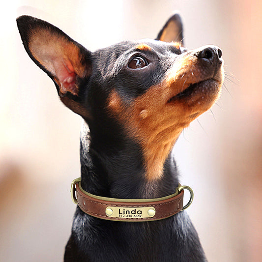 Leather Collar Nameplate