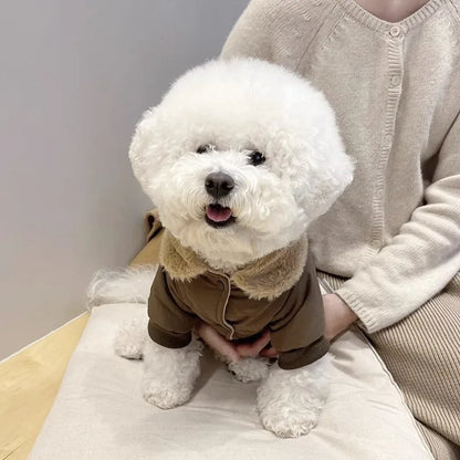 Teddy Dog Jacket