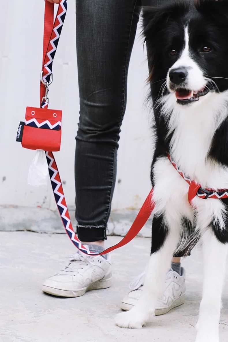 Walking Red Dog Set - Harness & Leash & Bag - The Dog Dreams Harness leash bag