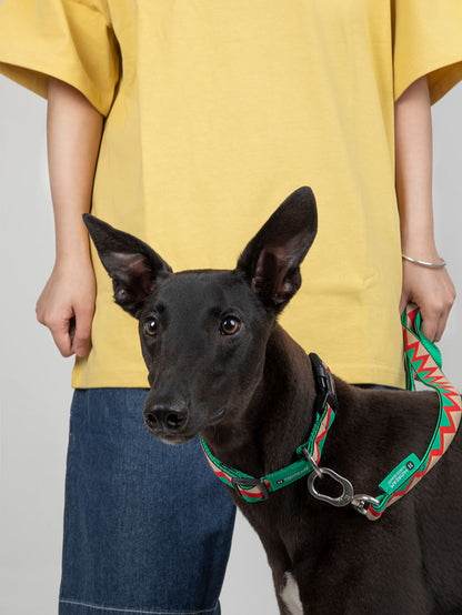 Walking Blue - Dog Collar - The Dog Dreams Dog collar