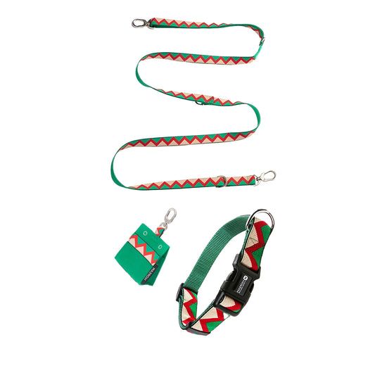Walking Green Dog Set - Collar & Leash & Bag