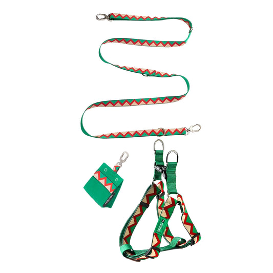 Walking Green Dog Set - Harness & Leash & Bag