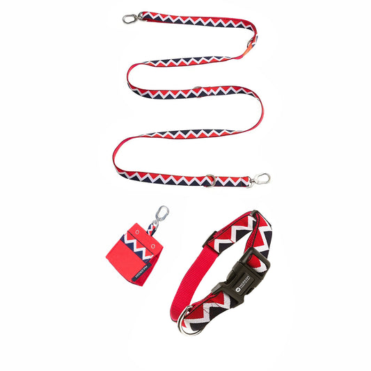 Walking Red Dog Set - Collar & Leash & Bag